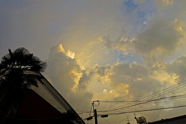 DSC04230m.jpg