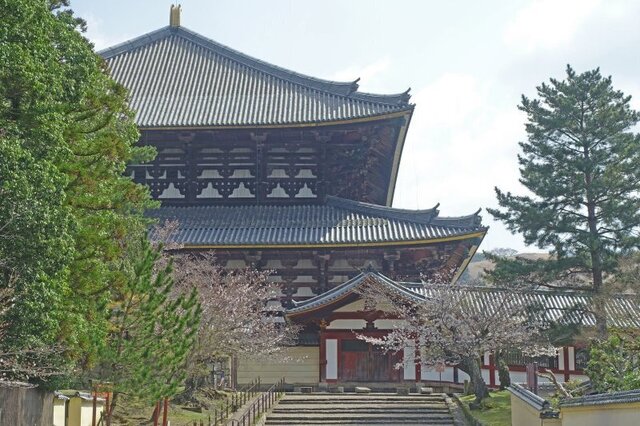 DSC04235m.jpg
