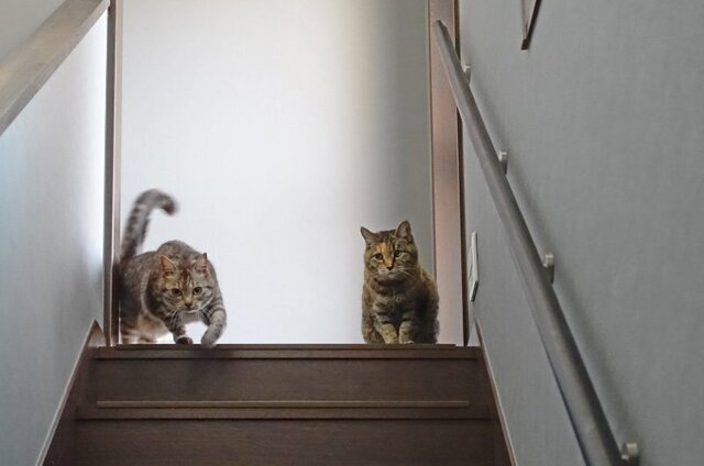 DSC04280m.jpg