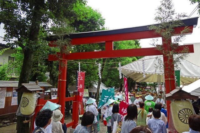DSC04315m.jpg