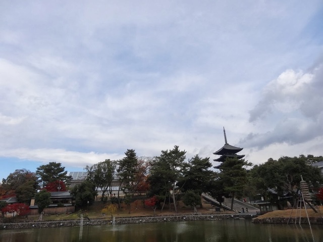 DSC04477.JPG