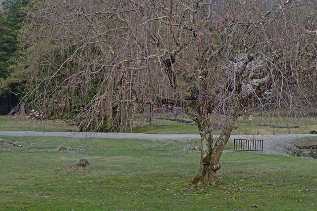 DSC04510m.jpg