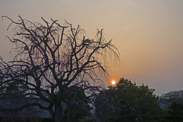 DSC04512m.jpg