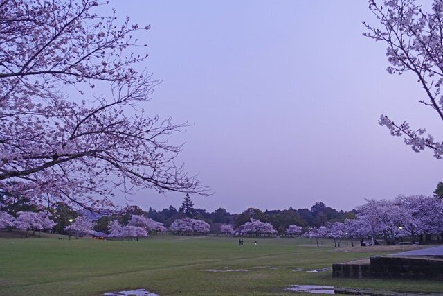DSC04550m.jpg