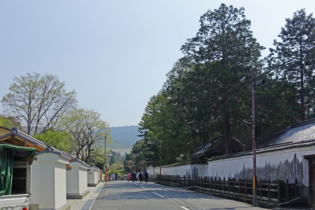 DSC04558m.jpg