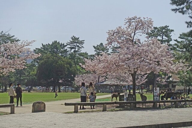 DSC04561m.jpg