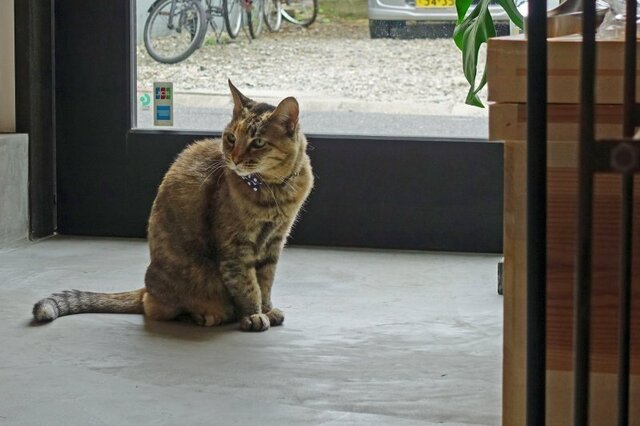 DSC04629m.jpg