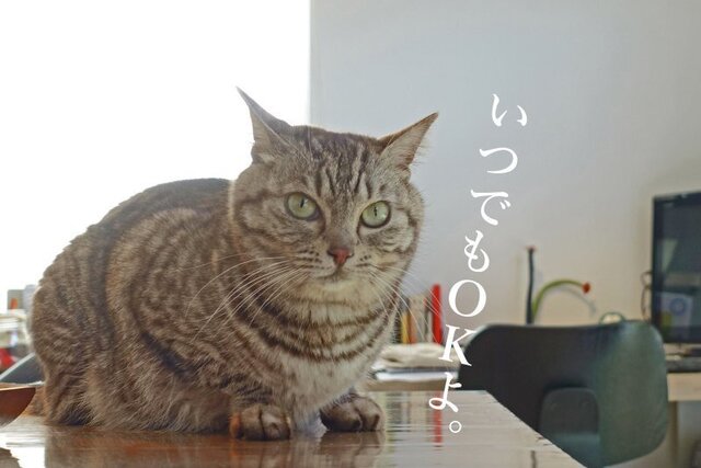 DSC04643mc.JPG