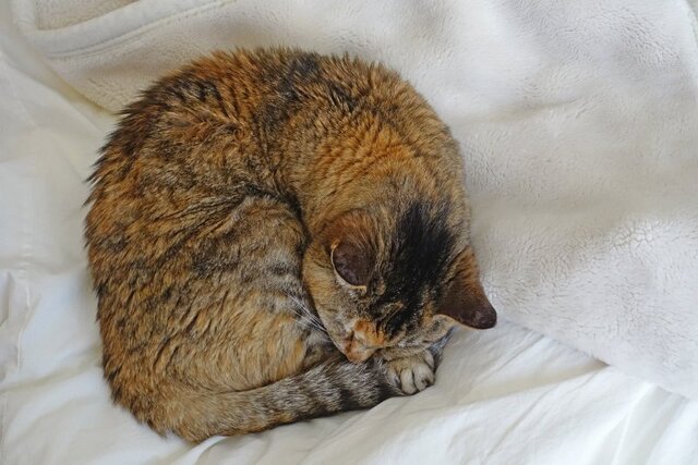 DSC04849m.jpg