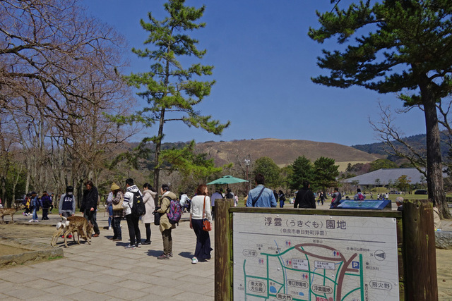 DSC04989m.JPG