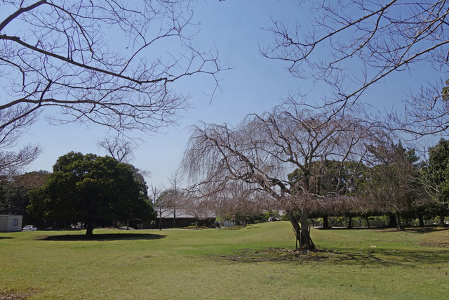 DSC05051m.JPG