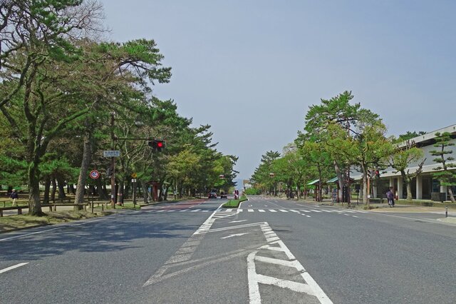 DSC05053m.jpg