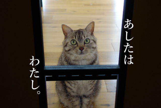 DSC05066mc.JPG