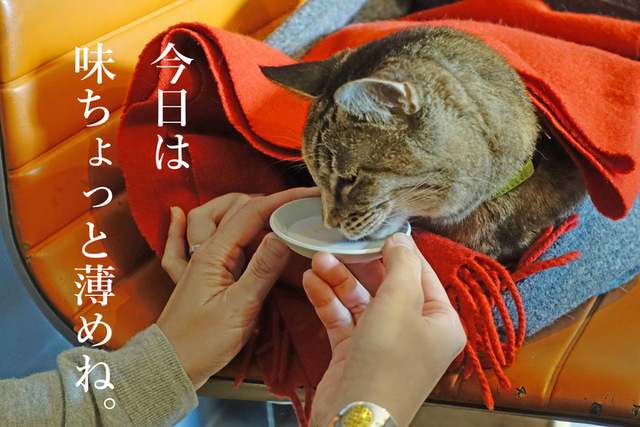 DSC05097mc.jpg