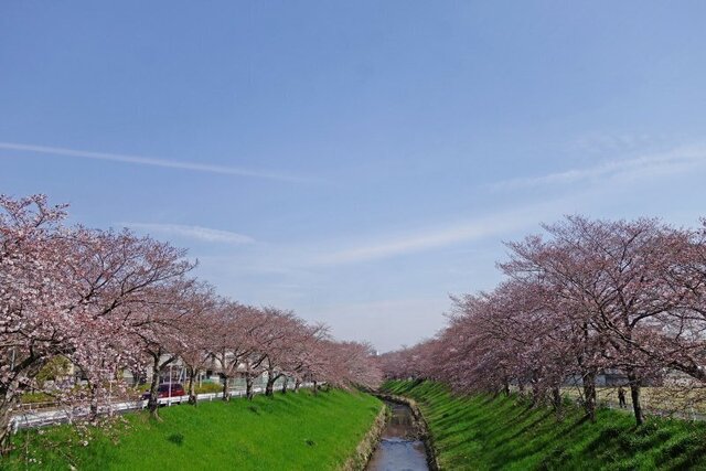 DSC05116m.jpg