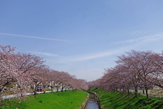 DSC05116m.jpg