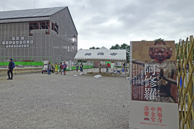DSC05155m.JPG
