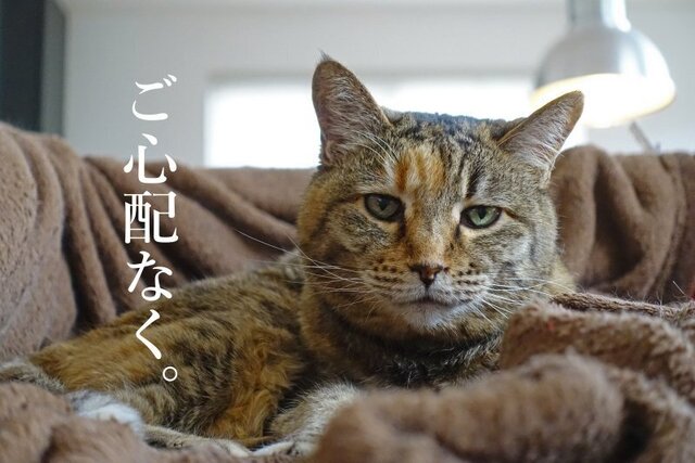 DSC05187mc.jpg