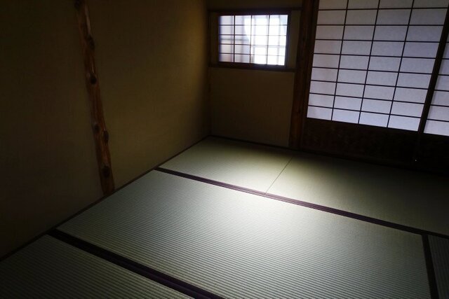 DSC05218m.jpg