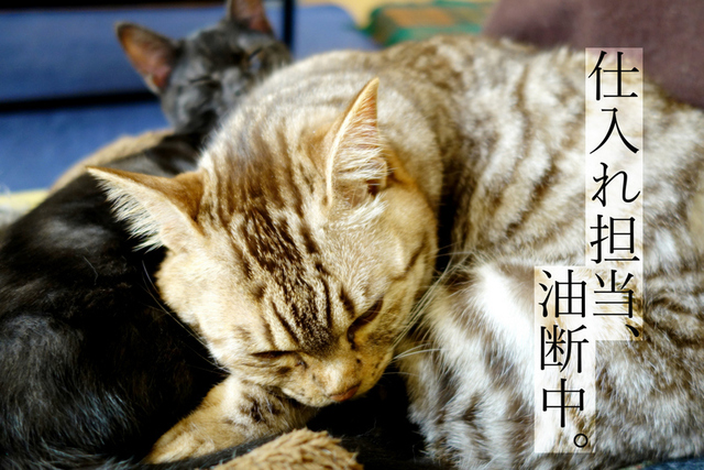 DSC05283m.JPG