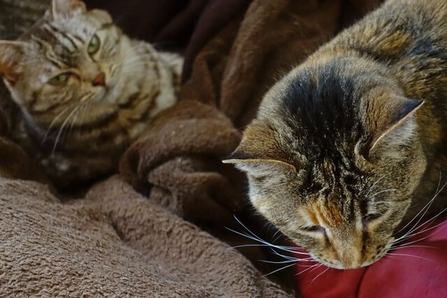 DSC05294m.jpg