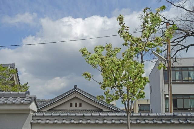 DSC05428m.jpg