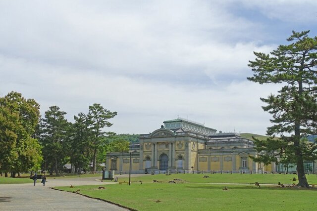 DSC05499m.jpg
