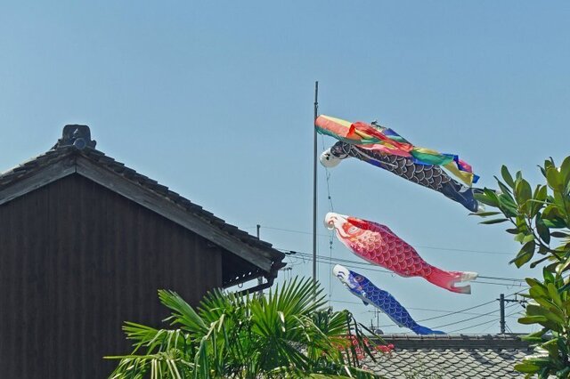 DSC05659m2.jpg
