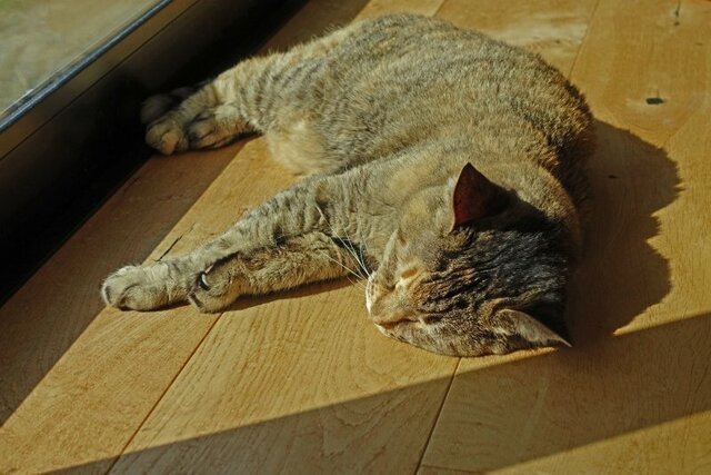 DSC05698m.jpg