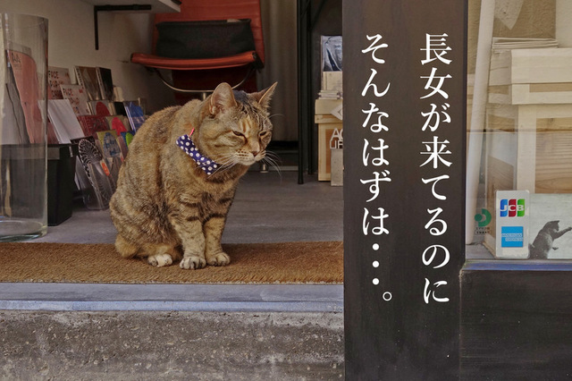 DSC05842mc.JPG