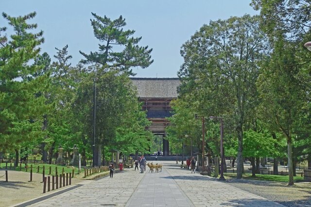 DSC05927m.jpg