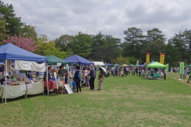 DSC05991m.jpg