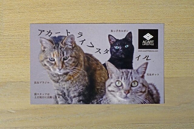 DSC06044m.jpg