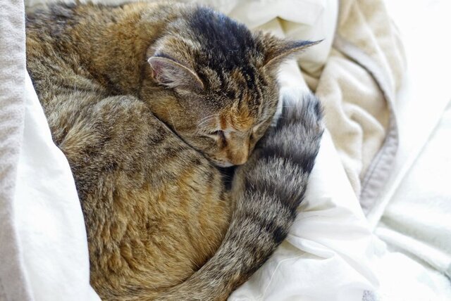 DSC07004m.jpg