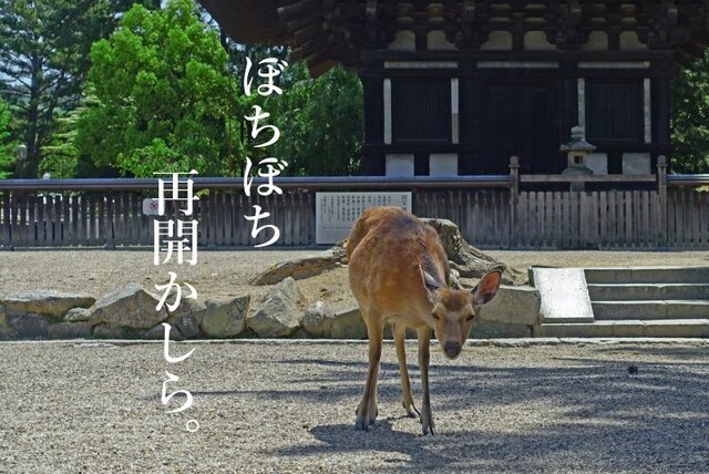DSC07016mc.jpg