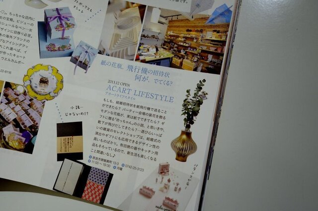 DSC07110.JPG