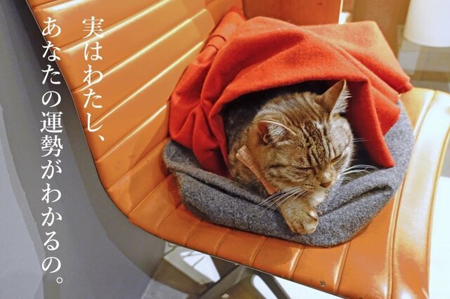 DSC07175mc.jpg