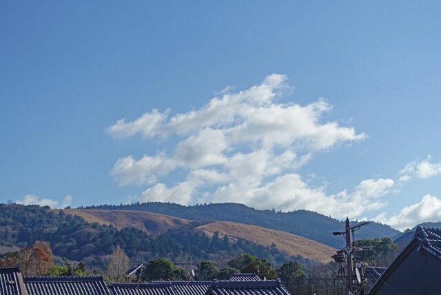 DSC07446m.jpg