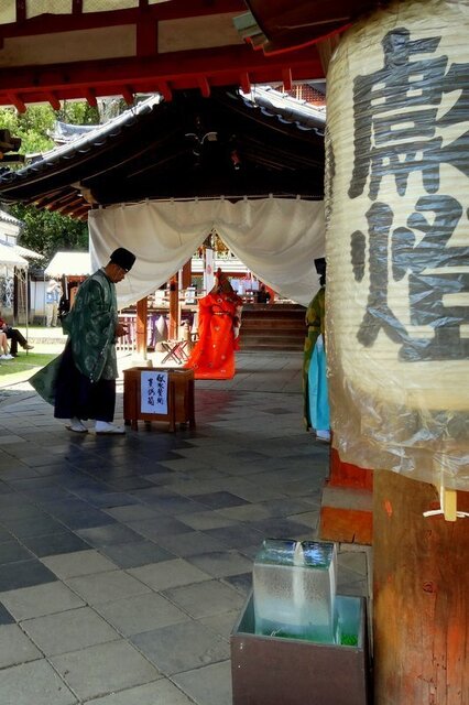 DSC07528-001m.jpg