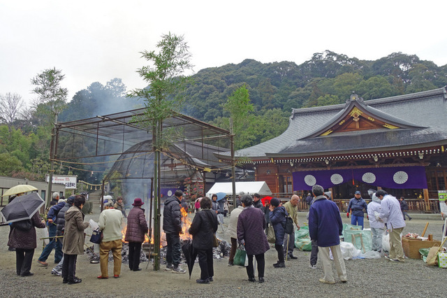 DSC07608m.JPG