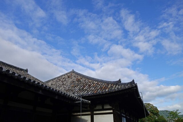 DSC07616m.jpg