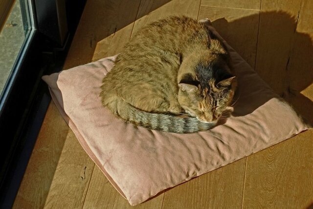 DSC07647m.jpg