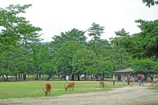DSC07659m.jpg