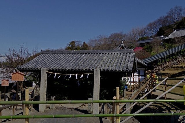 DSC07869mm.jpg