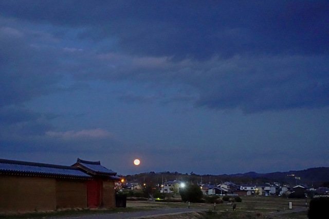 DSC07997m.jpg