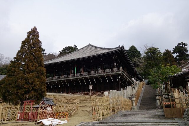 DSC08303m.jpg