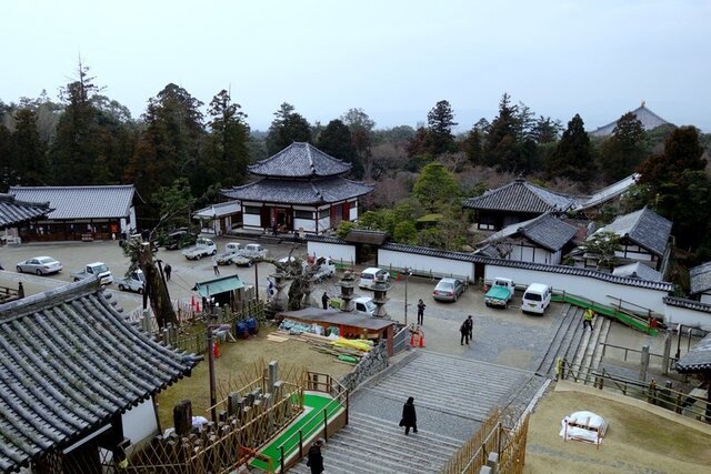 DSC08327.JPG