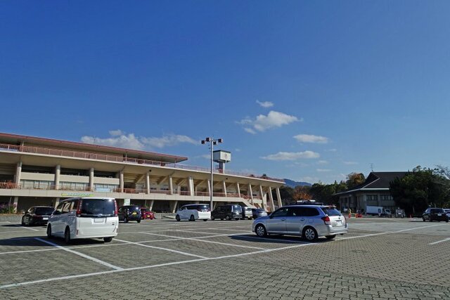 DSC08424m.jpg