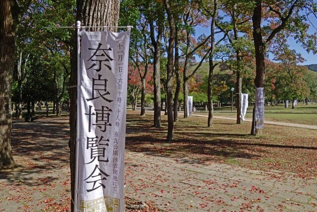 DSC08519m.jpg