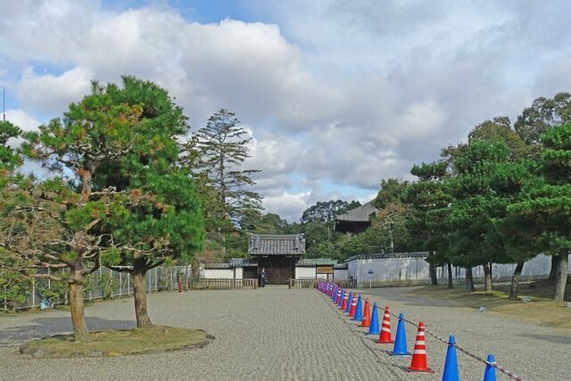 DSC08544m.jpg